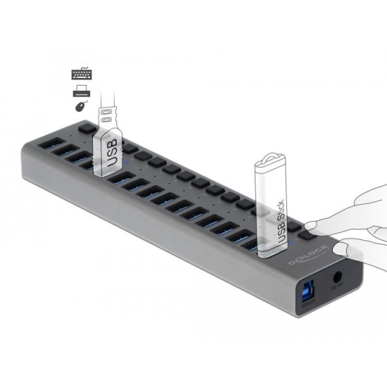 USB хъб Delock, 16 Ports, DELOCK-63739