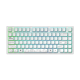 Геймърскa безжична клавиатура Dark Project ALU81A Terra Nova R2 White RGB