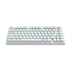 Геймърскa безжична клавиатура Dark Project ALU81A Terra Nova R2 White RGB Геймърскa безжична клавиатура Dark Project ALU81A Terra Nova R2 White RGB