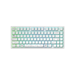 Геймърскa безжична клавиатура Dark Project ALU81A Terra Nova White RGB