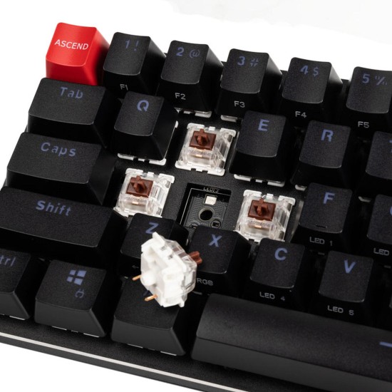 Геймърска механична клавиатура Glorious GMMK Black Compact - Gateron Brown Switches,  US-Layout